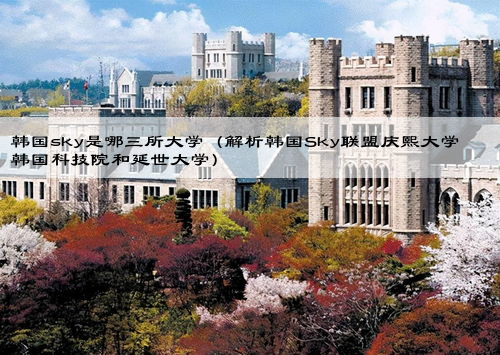 韩国sky是哪三所大学